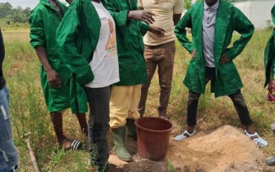 Initiation à l’analyse du sol.